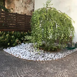 La Betulla Italien